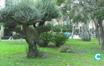Imágen de la zona ajardinada de la plaza de España