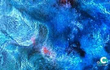 'El paisaje sumergido'