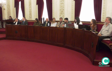 Imagen de la bancada de la oposición durante un reciente sesión en el Ayuntamiento de Cádiz