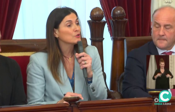 La edil de vivienda, Ana San Juan, durante un Pleno del Ayuntamiento, en una imagen de archivo