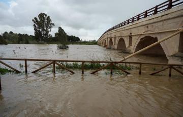 El rio crecido a su paso por el puente  de acceso a Jerez de la Frontera