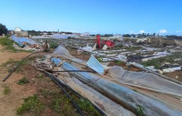 Estado de los campos conileños tras el paso del temporal