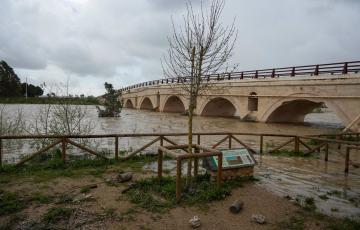 Crecida del rio Guadalete en una imagen de archivo