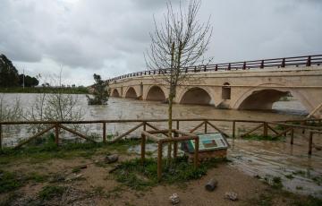 Imágenes de la crecida del río Guadalete en una imagen de archivo