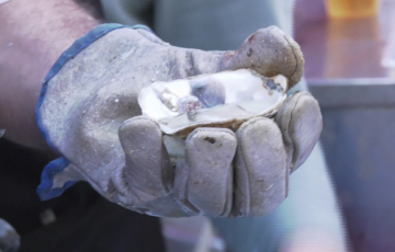 De nuevo la venta ilegal de productos ponen en riesgo la salud de las personas durante la fiesta