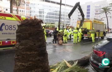 El ultimo temporal ha ocasionado distintos daños en la provincia