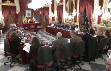 Un momento de la sesión celebrada en el Palacio Provincial