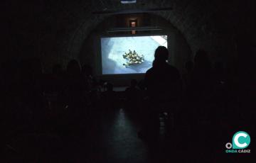 Muestra Infantil de Cine