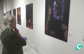 Las obras se podrán visitar gratuitamente hasta el próximo 22 de agosto