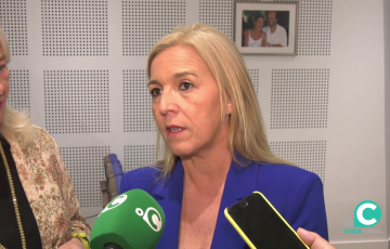 La delegada territorial de la Consejería de Salud y Consumo, Eva Pajares, atiende a los medios