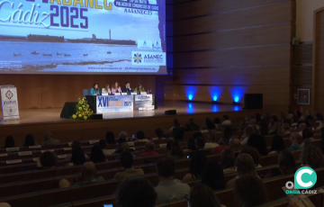 Una de las sesiones celebradas en el Palacio de Congresos de la capital gaditana