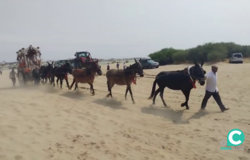 La carreta del Simpecado una vez desembarcado este martes