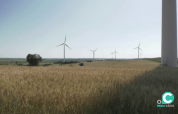 La provincia es la primera en Andalucía en potencia eólica 