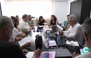 Consejo de participación del COAC celebrado recientemente