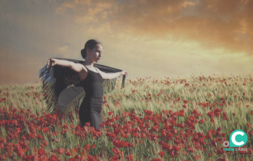 Las imágenes actúan como reductos de reflexión y mirada crítica.