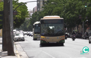 Vehículo de transporte urbano por la avenida principal de la capital gaditana