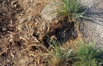 Lugar donde pretendía iniciar el sniestro el arrestadio