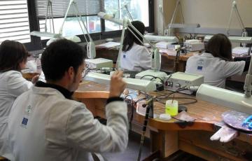 Cursos organizados por el gobierno andaluz