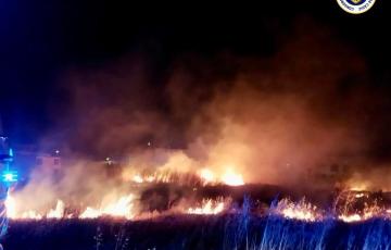 Incendio de pastos en Chiclana este sábado.