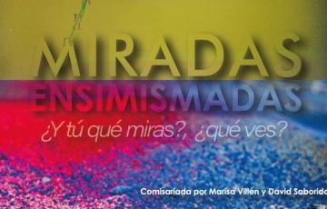 Cartel de la muestra