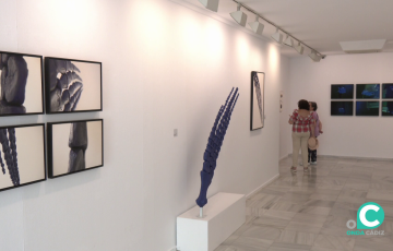 La muestra podrá visitarse hasta el 16 de agosto
