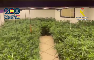 Imagen del género requisado por las fuerzas de seguridad