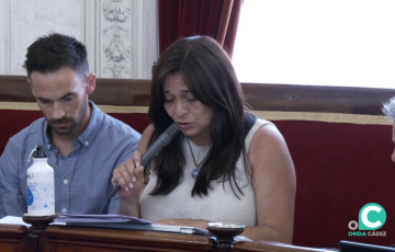 Ediles de la confluencia intervienen durante el transcurso de una sesión plenaria en una imagen de archivo