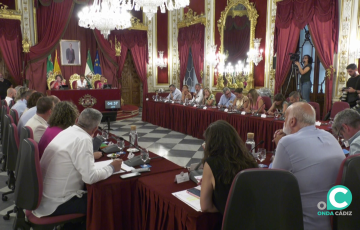 Pleno de la Diputación de Cádiz