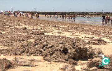 Estado de la conocida playa gaditana en una imagen de arhivo