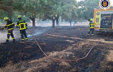 Bomberos actuando en el incendio declarado el miércoles en Jerez.