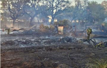Superficie quemada por el incendio de pastos en la zona rural de Jerez de la Frontera.