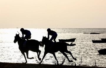 Jinetes en el trasncurso de una de las pruebas