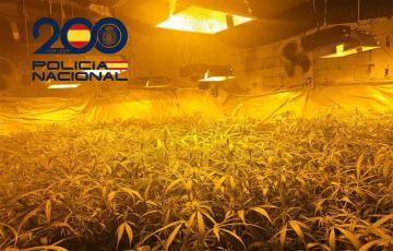 Imagen del género incautado por las fuerzas de orden