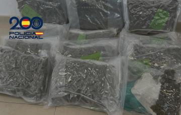 Género incautado en el vehículo