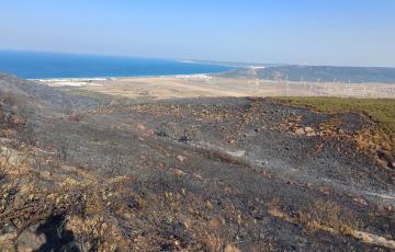Imagen del estado de la Sierra de la Plata tras el último incendio