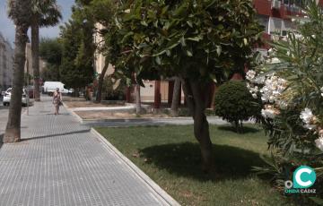 Actuaciones en el acerado del viario urbano y alcorques en distintos puntos de Cádiz. 