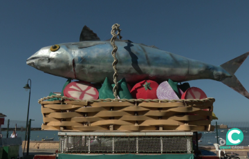La monumental caballa ya espera a su cita de este viernes en el Club Caleta