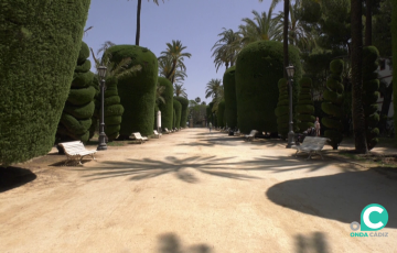 Imagen de los jardines de Genovés en la capital gaditana