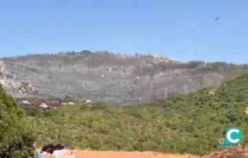 Una de la zonas calcinadas del paraje Sierra de la Plata, en Tarifa. 