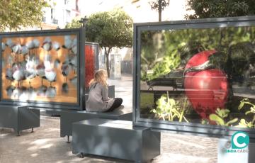 La plaza de España acoge la exposición 'Colores del mundo'. 