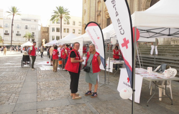 La iniciativa ha estado abierta al público en la plaza de la Catedral