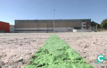 Imagen de los terrenos donde están previstos construirse 813 viviendas