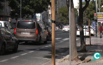 Adelante Izquierda Gaditana pide la puesta en marcha del Plan Director de Arbolado. 