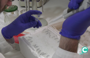 Técnico en un laboratorio