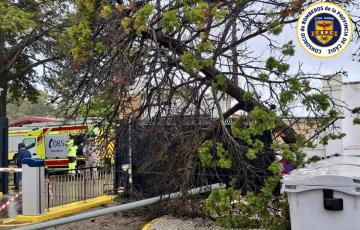 Trabajos de retirada de un árbol caído en San Fernando