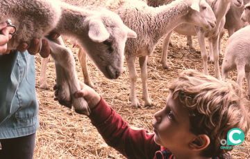 Alguna de las imagenes que se podrán visitar en el Palacio Provincial 