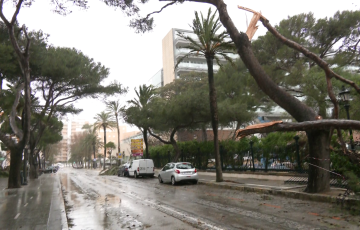La avenida Gomez Ulla lugar del suceso