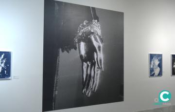 Fotografías que se exponen en la Casa de Iberoamérica de los artistas chilenos Rocío Aguirre y Camilo Delpin.