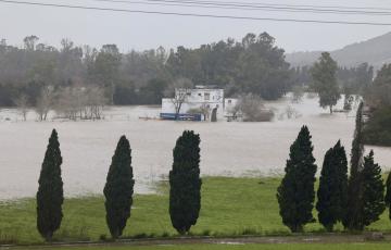 El río Guadalete a su paso por una zona rural de Jerez, inundada por la crecida el pasado fin de semana.