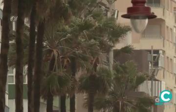 Las lluvias seguirán presentes en los próximos días en la provincia. 